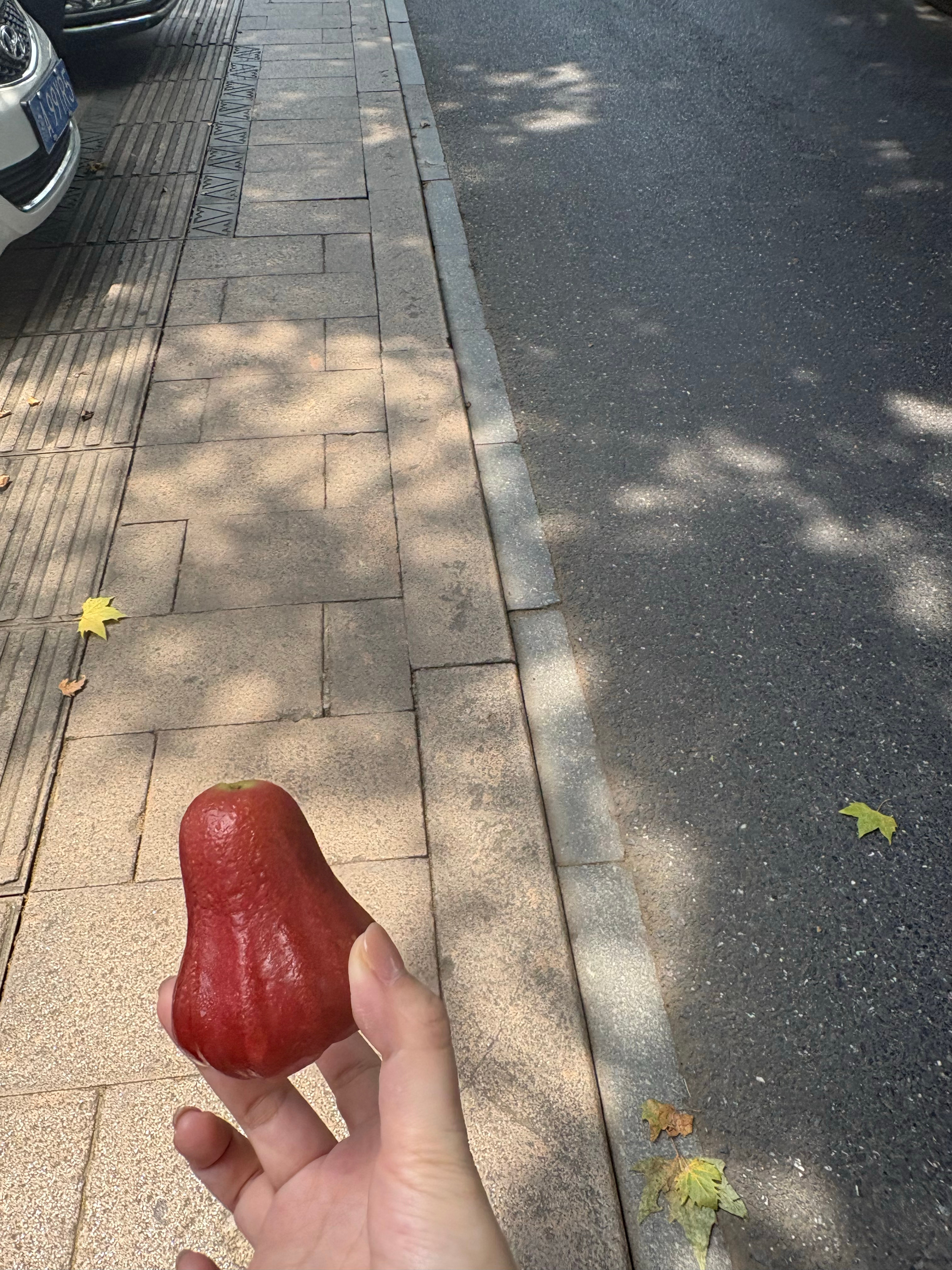 그냥이쁘지✨ 