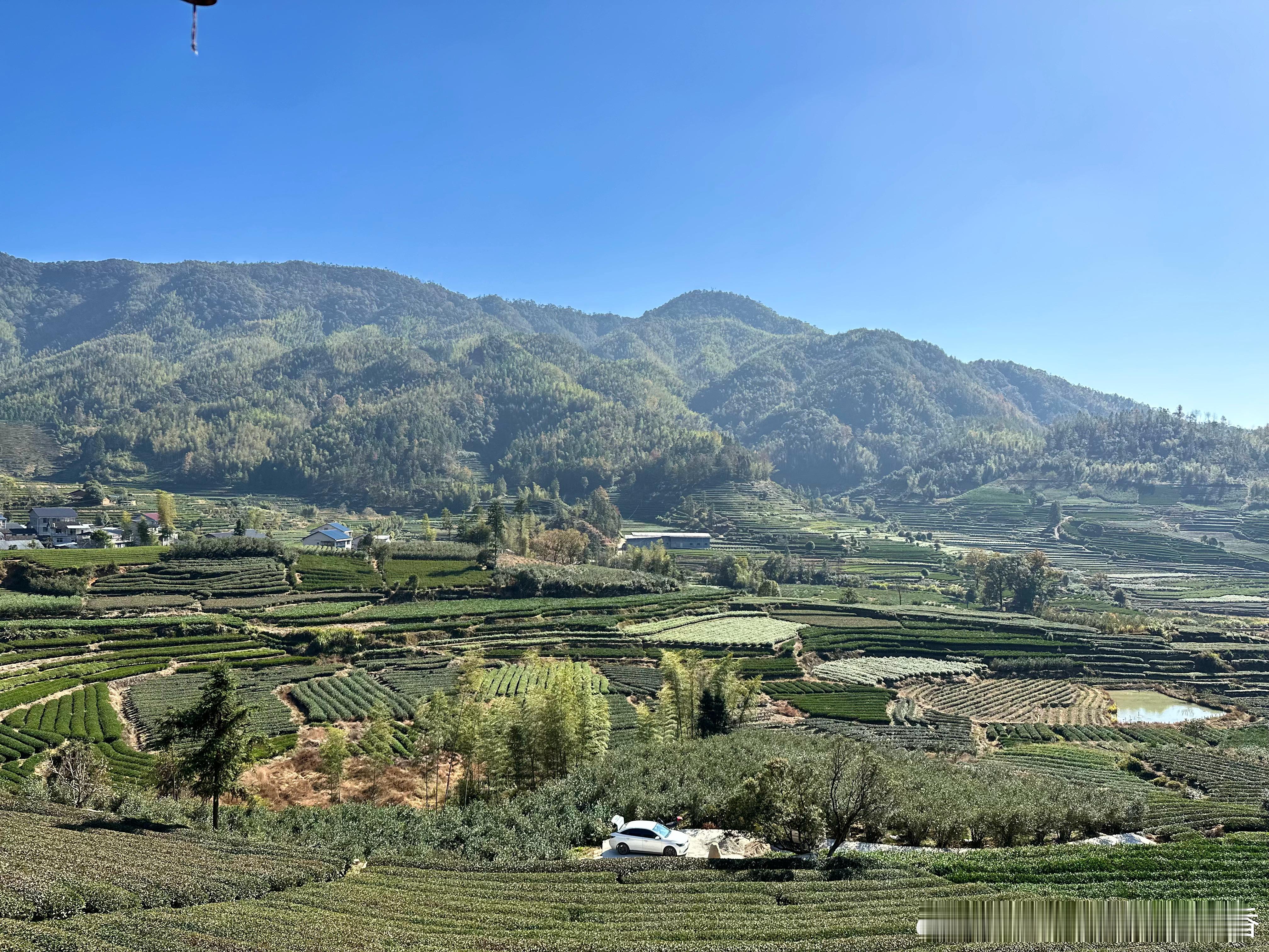 这次四天短期旅行结束已回南京继续“搬砖”此次出行了解到了岩茶知识还是很棒的 