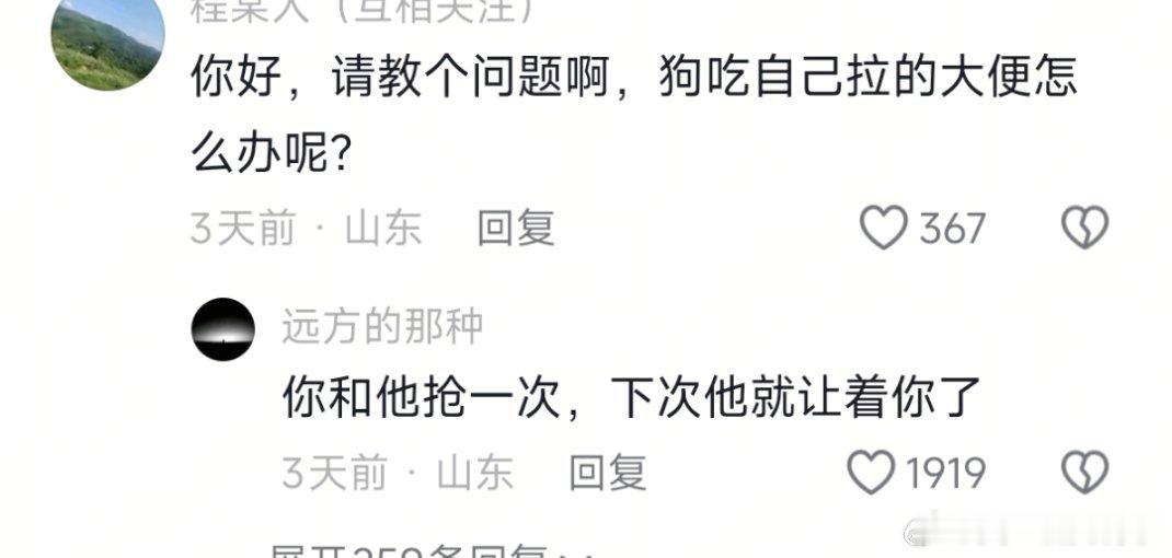 这个兽医一看就有经验 