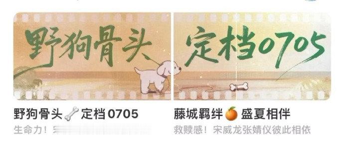 全力托举野狗骨头好久没磕到这么对味的现偶组合！颜值配一脸，拉扯氛围感直接拉满，还