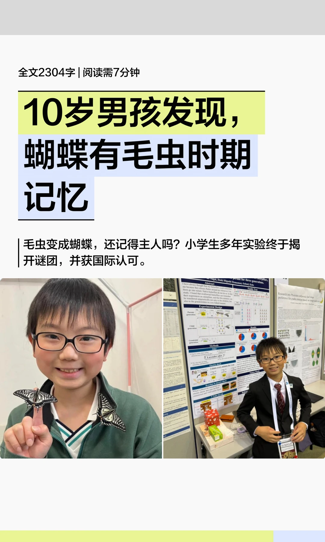 10岁男孩发现，蝴蝶具有毛虫时期的记忆