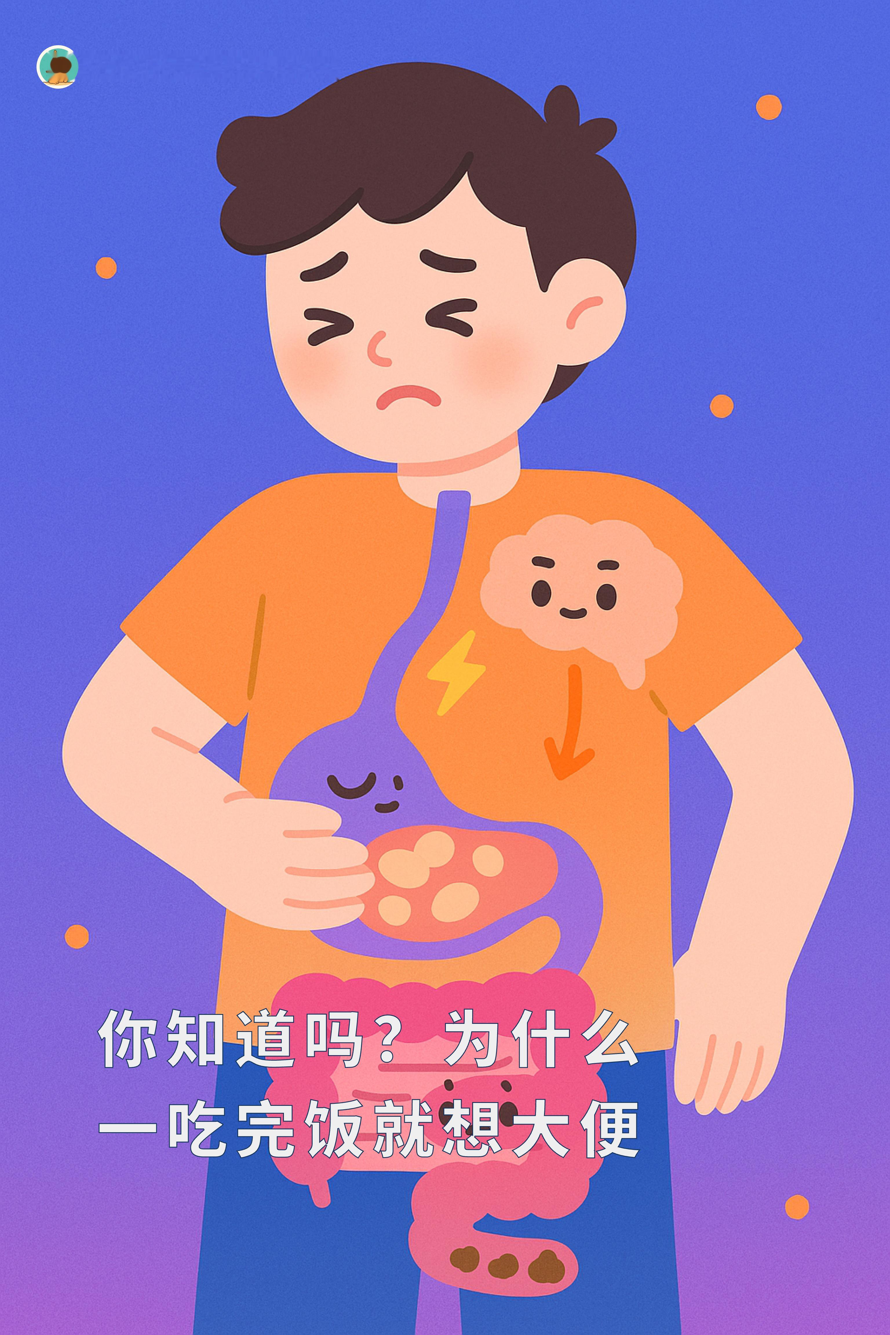 你是那些直肠直肚，吃完就痌的人吗？别担心，你不是孤身一人，这其实是一种自然又健康