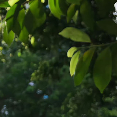 每日一善阳光信用｜每日一善笑对生活是一种态度，善待人生是一种境界。感恩拥有的一切
