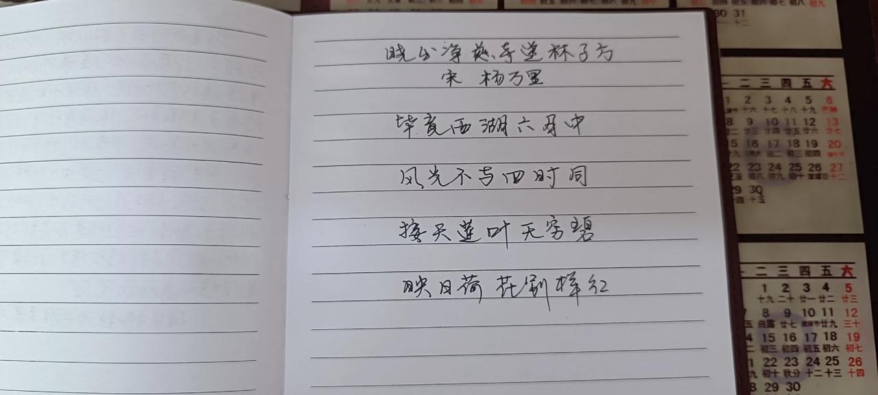好久没抄书了，今日路过东苑小公园，见池中荷叶田田，荷花盛开，不由自主地想起杨万里