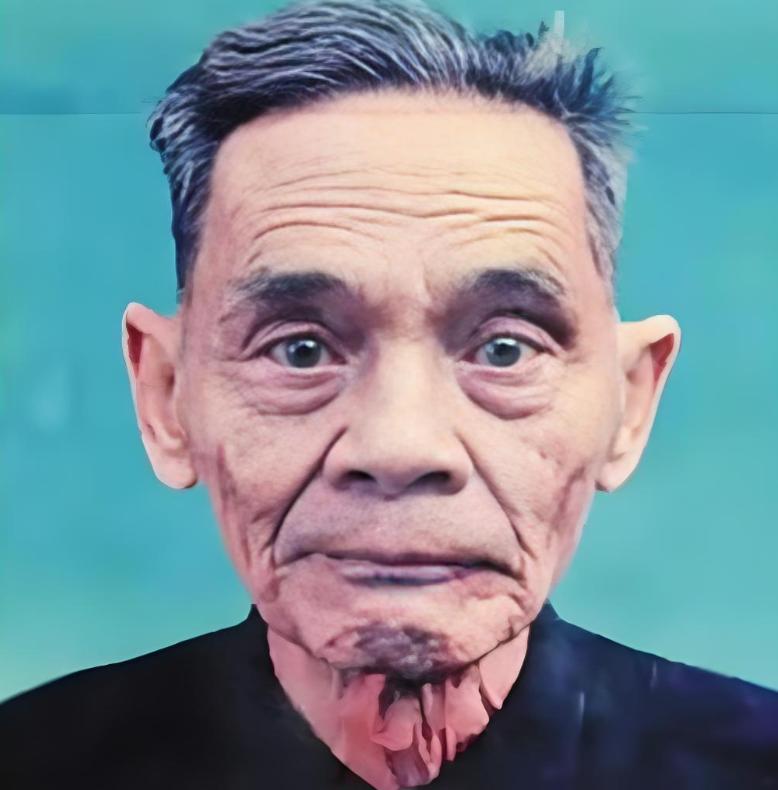 1988年，潜伏台湾42年的地下党员谢汉光回到老家时，发现妻子儿孙满堂，以为妻子