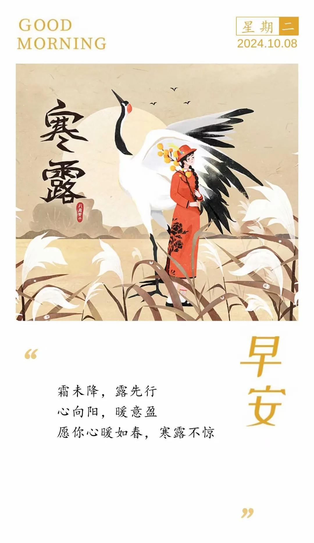 
霜未降，露先行
心向阳，暖意盈
愿你心暖如春，寒露不惊