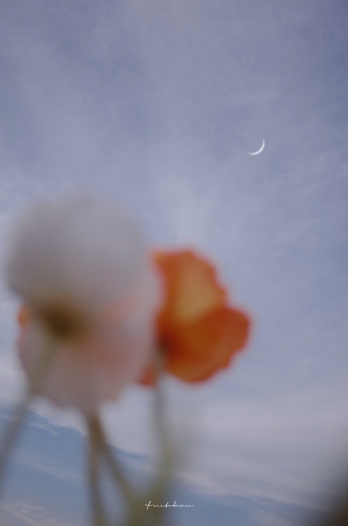 一星陨落，黯淡不了星空灿烂；一花凋零，荒芜不了整个春天。——  巴尔扎克 