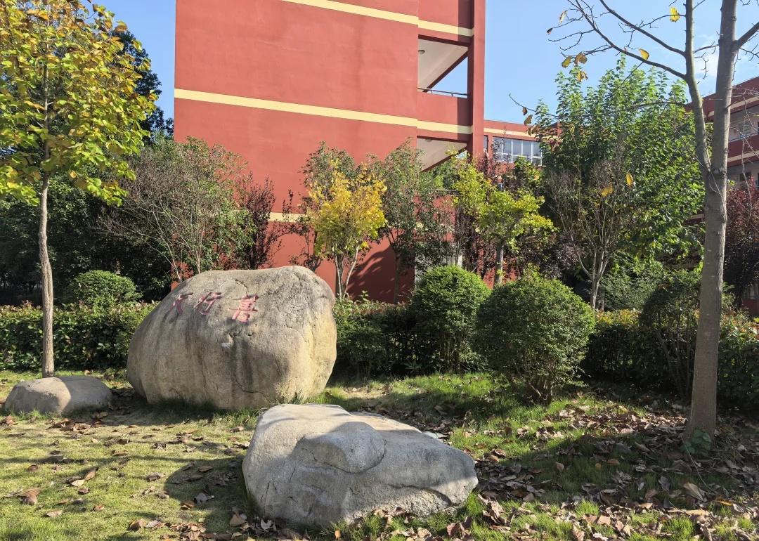 满心满眼的不舍：这样的校园怎么就要并了呢
阳光下，它是多么明媚，多么美好！
我的