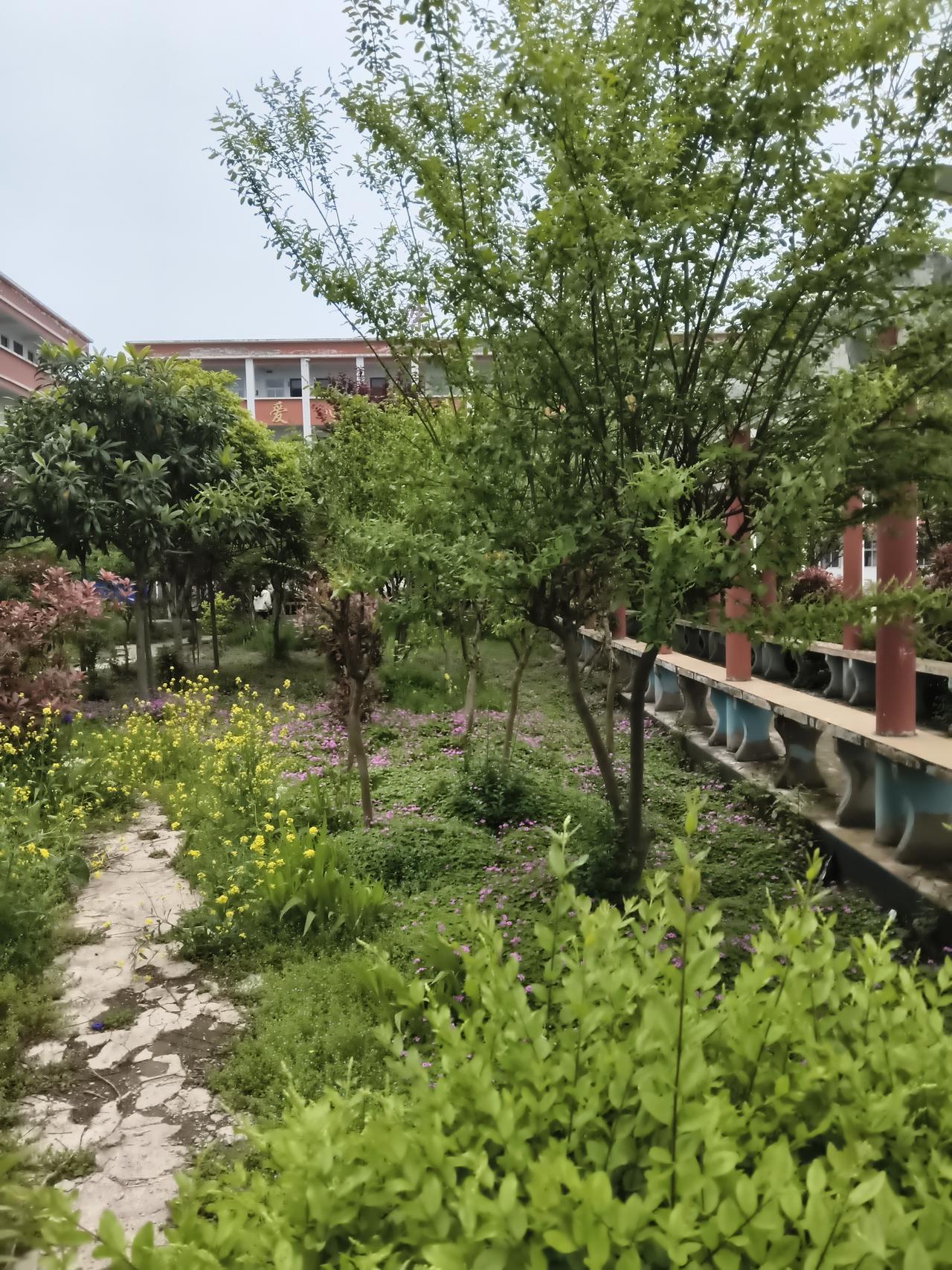 右侧红柱长廊爬满藤蔓，廊下整齐排列的盆栽里藏着不知名的绿植。远处教学楼的白墙映着