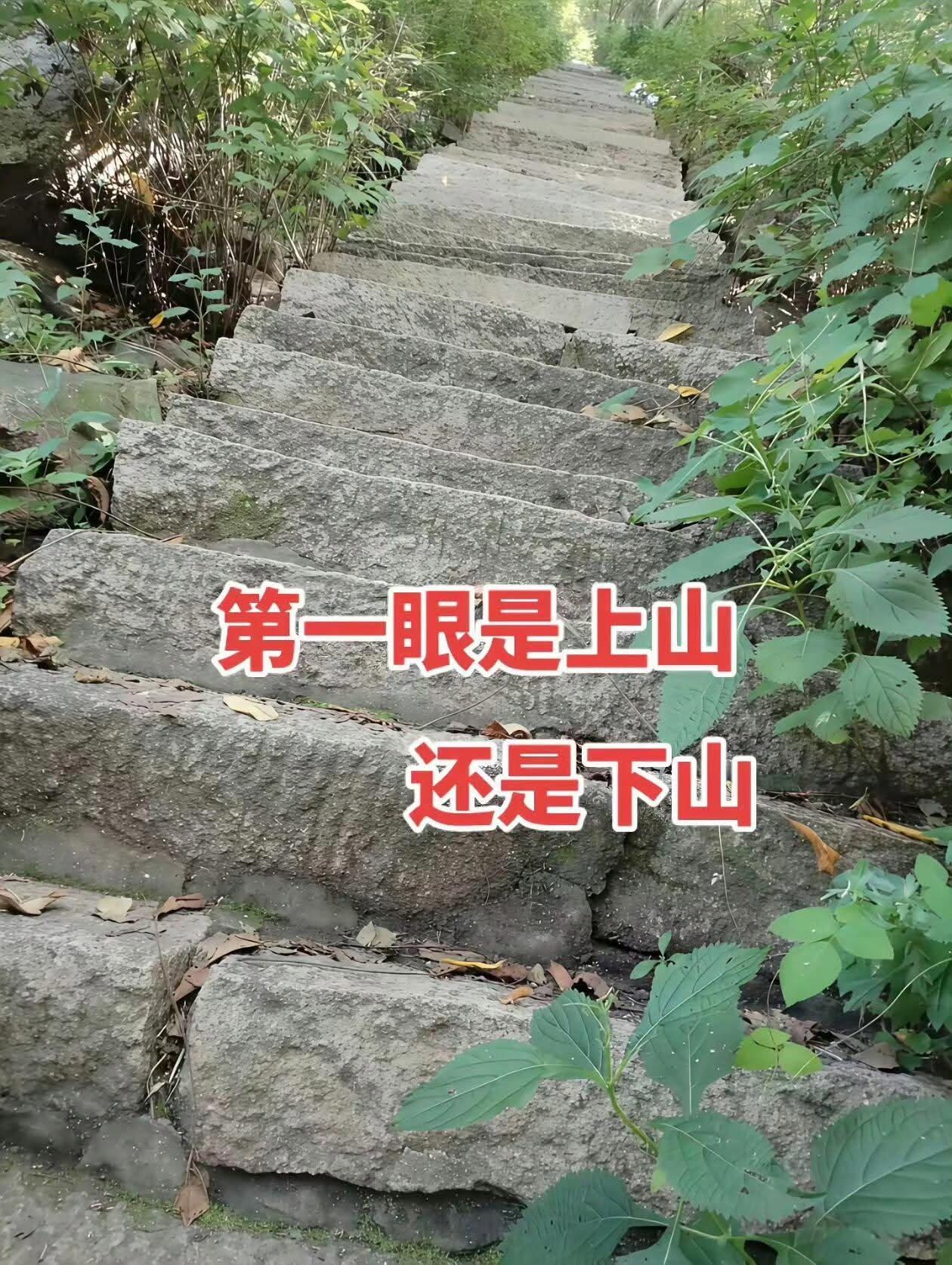 你们觉得这是上山还是下山？