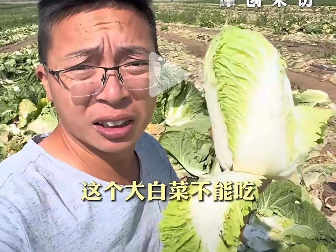 漳州药水杨梅才过去几个月，又出来一个张家口白菜蘸甲醛。接下来网络上又将迎来一大批