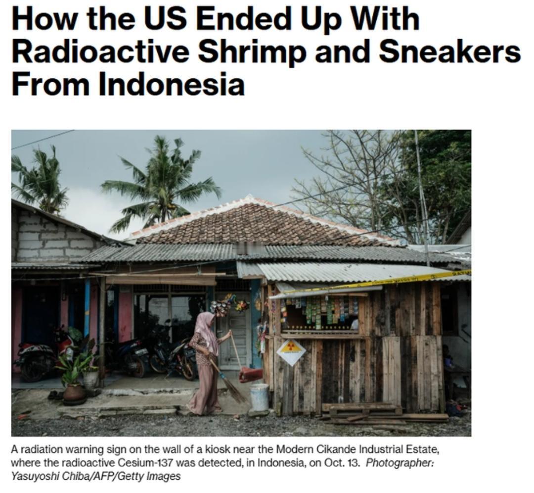 带放射性的虾和球鞋出现在美国超市

美国在印尼出口的虾与耐克球鞋中检测出放射性铯