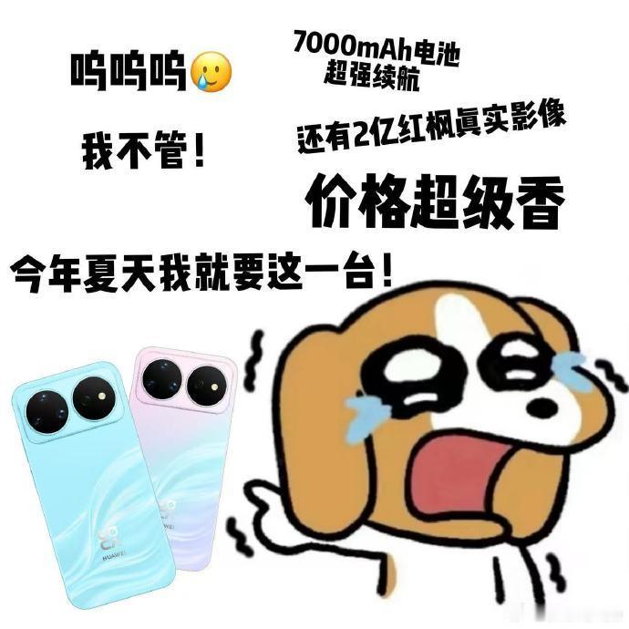 nova16价格真香 外观设计辨识度高，机身轻盈便携，内部配置诚意十足，综合竞争