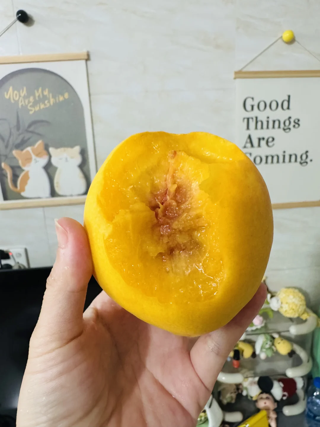 吃上黄桃啦，软软的，我更喜欢吃脆脆的桃子…