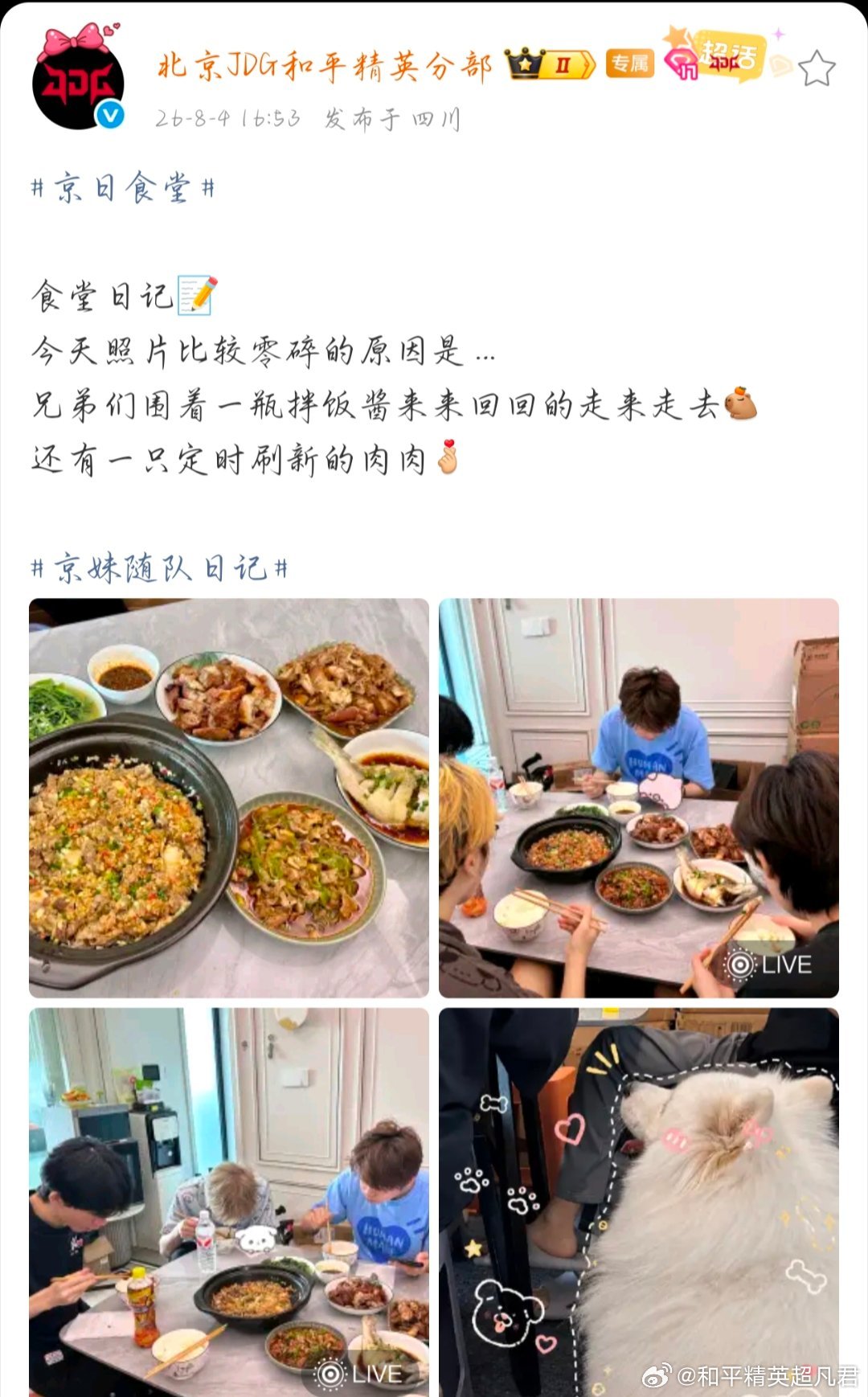 JDG和平精英 好奇是什么拌饭酱2026pel夏季赛