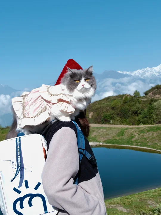 明天！大概率解锁日照金山！打卡雪山云海～