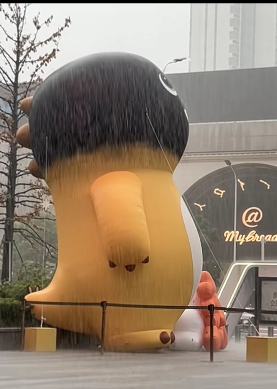 其实雨也没多大 只是风在拼命刮 