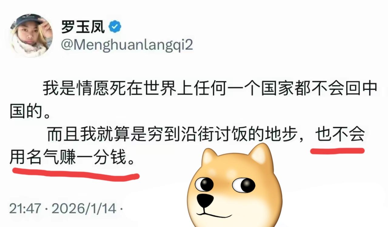 知名大殖子罗玉凤又发文：我情愿死在世界上任何一个国家都不会回国，就算是穷到沿街讨