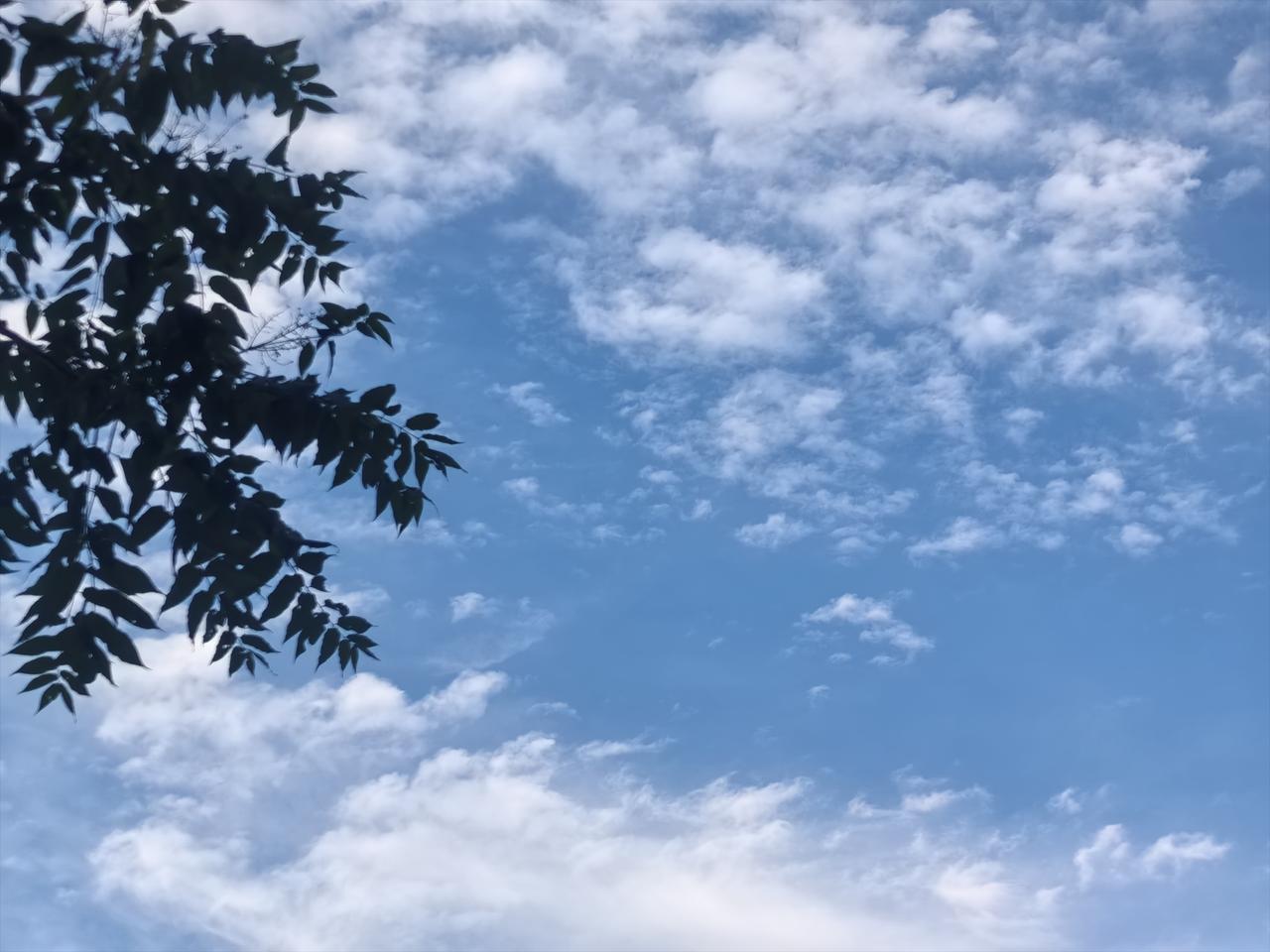 随手拍最美的云