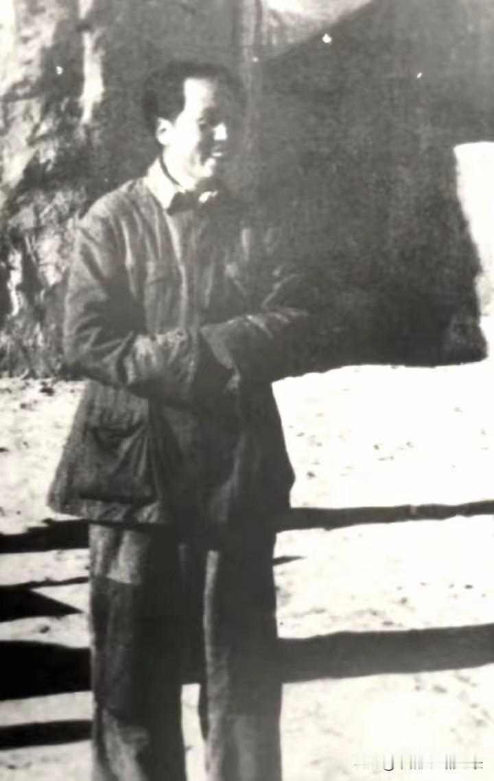 这是一幅最让人暖心的照像！和蔼可亲！艰苦朴素！跃然于人们的眼帘中！伟人不择地势就