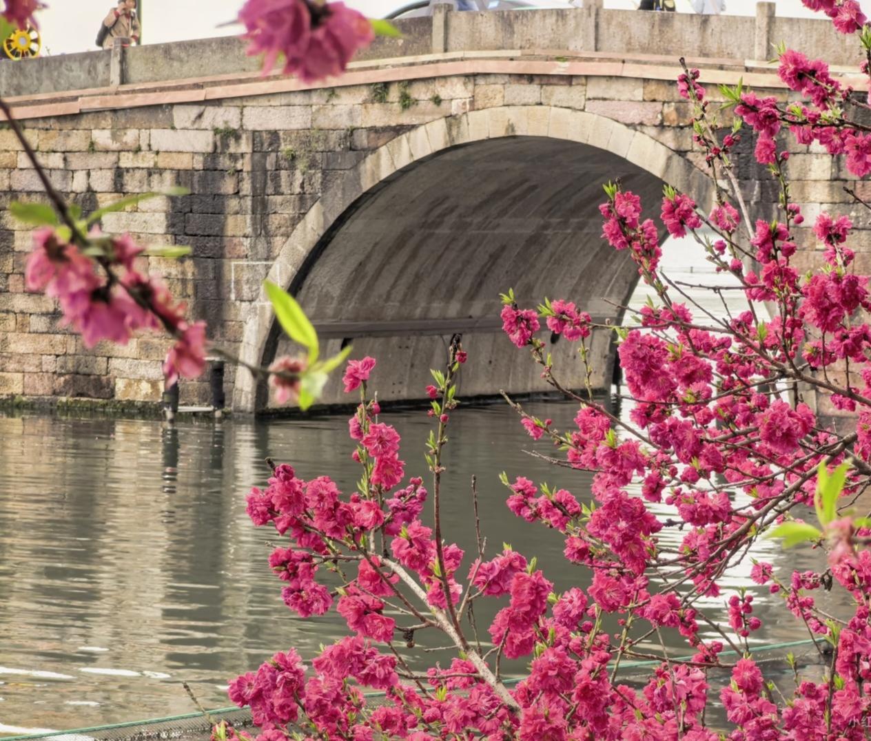相册里最满意的照片小桥映碧水，红花映岸开，春日景致入画来。