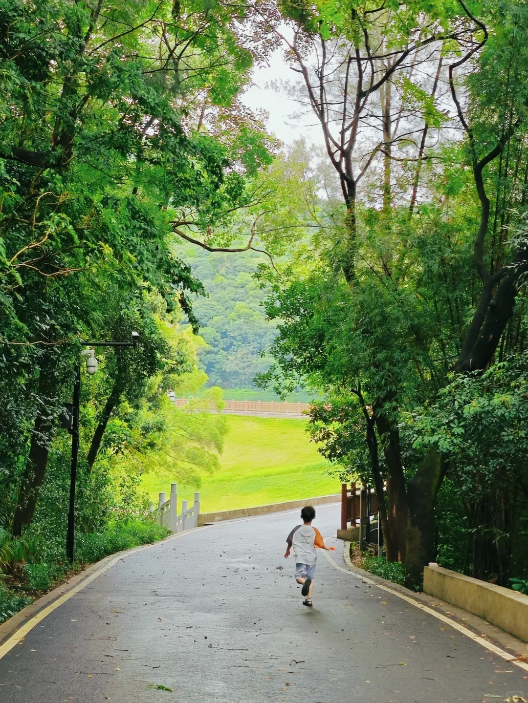 防蚊做好，准备进山！广州夏日玩水圣地💦