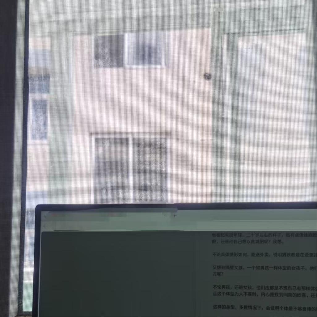 彼此不会嫌弃

嫌弃，是我想的。他们应都没想到这个词。可能，他们彼此还会有刹那温