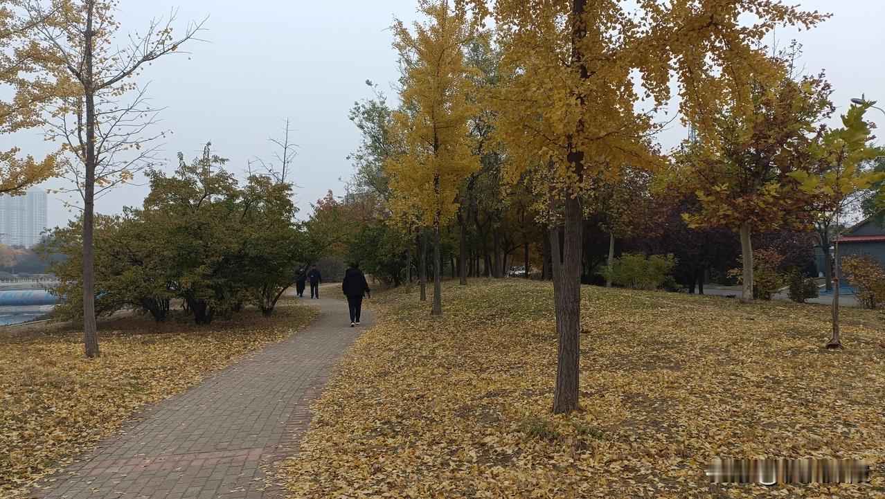 今早，量了一下体重，108斤。

         小个子的、已经奔六开头的我，