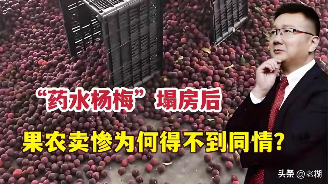 漳州杨梅应如何破局，您有何妙招？
 
近期漳州龙海杨梅泡药风波持续发酵，个别不法
