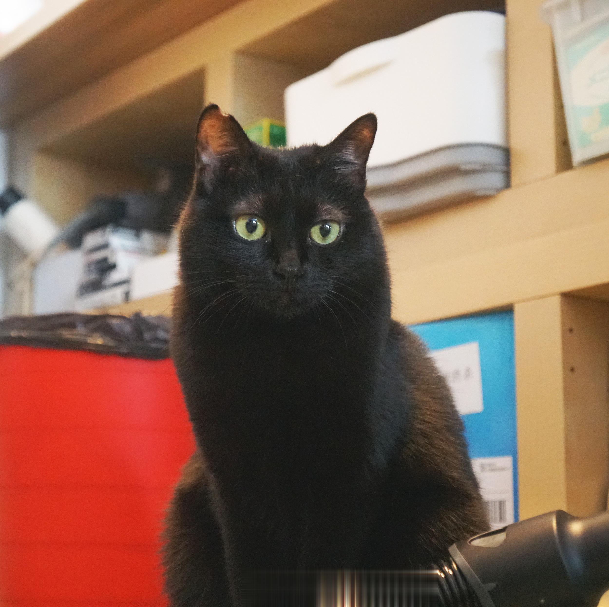 沒有放風就放空。#蝦蝦不可以太可愛# ​​​