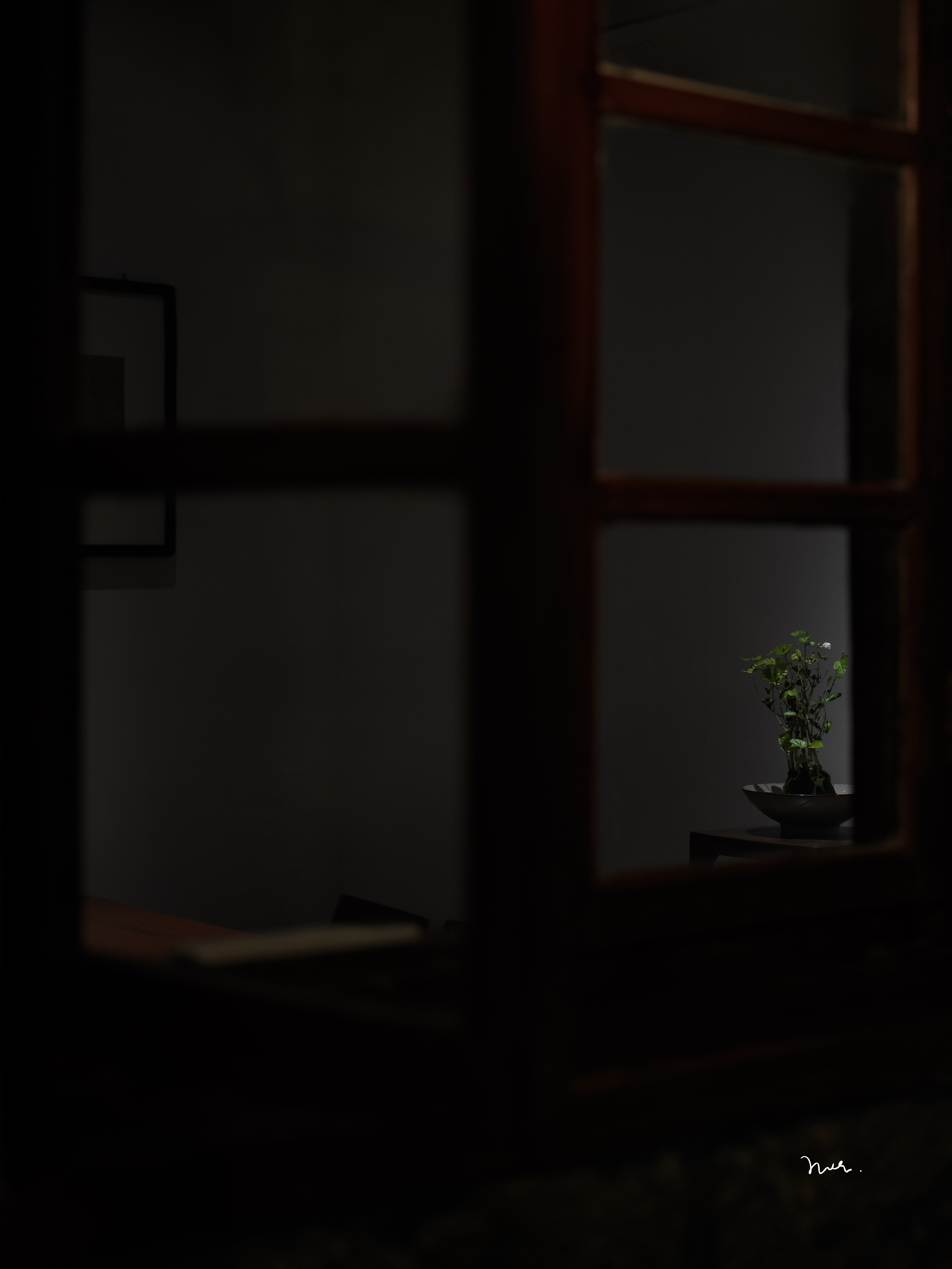 ＂我随着潮流来，随着潮流去。顺乎自然，心平气和。＂ 泉州·無·咖啡