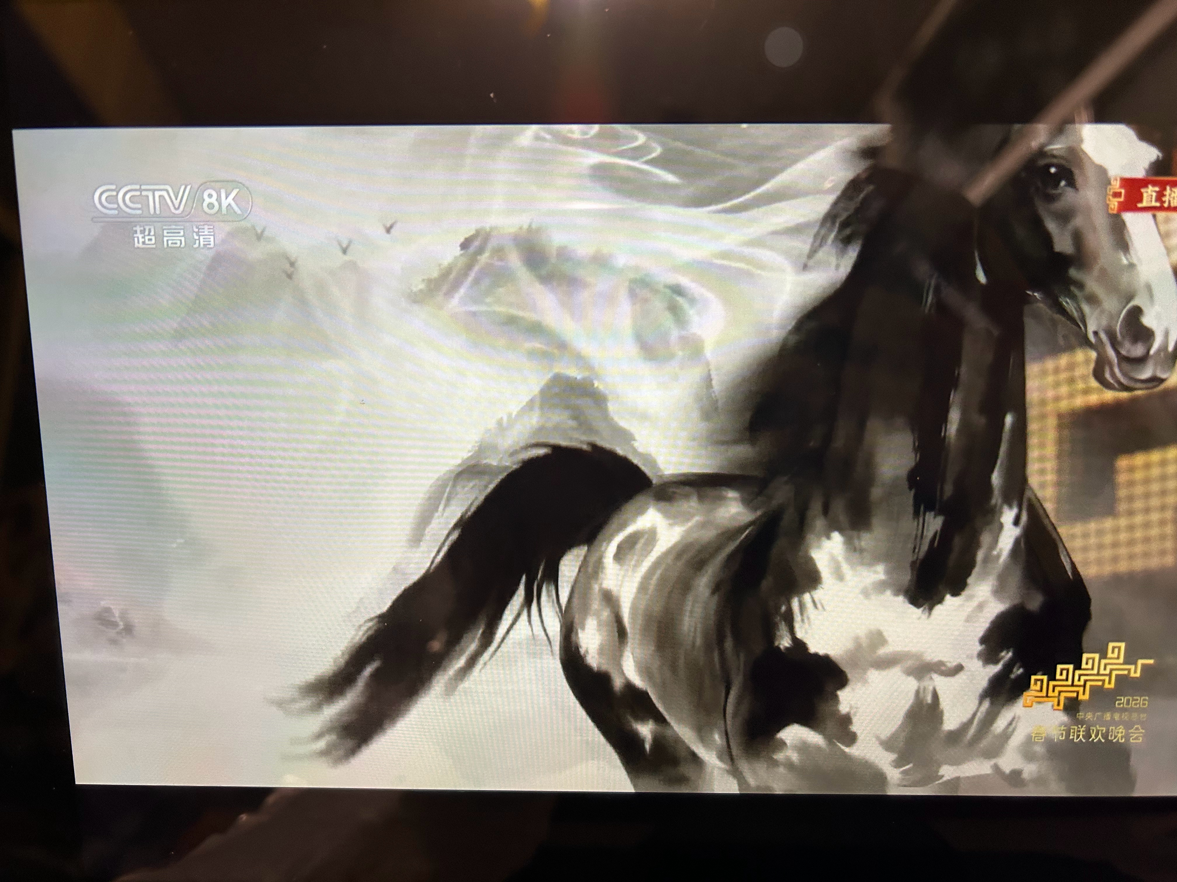 张杰的歌，可真是踏马而来。这🐎直奔我而来，这春晚都咋做的啊，直播的效果都太好了