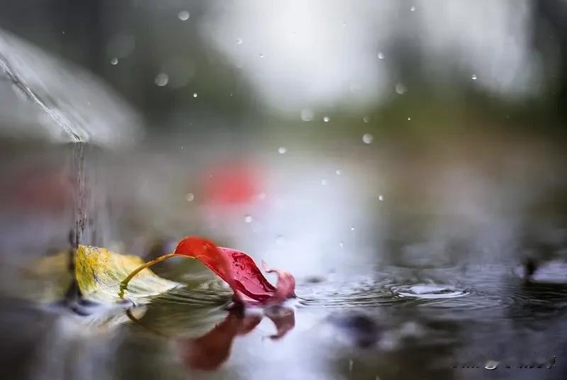 看到“秋雨无心敲落叶”这个上联，瞬间来了兴致。咱对对联讲究个对仗工整和意境契合。