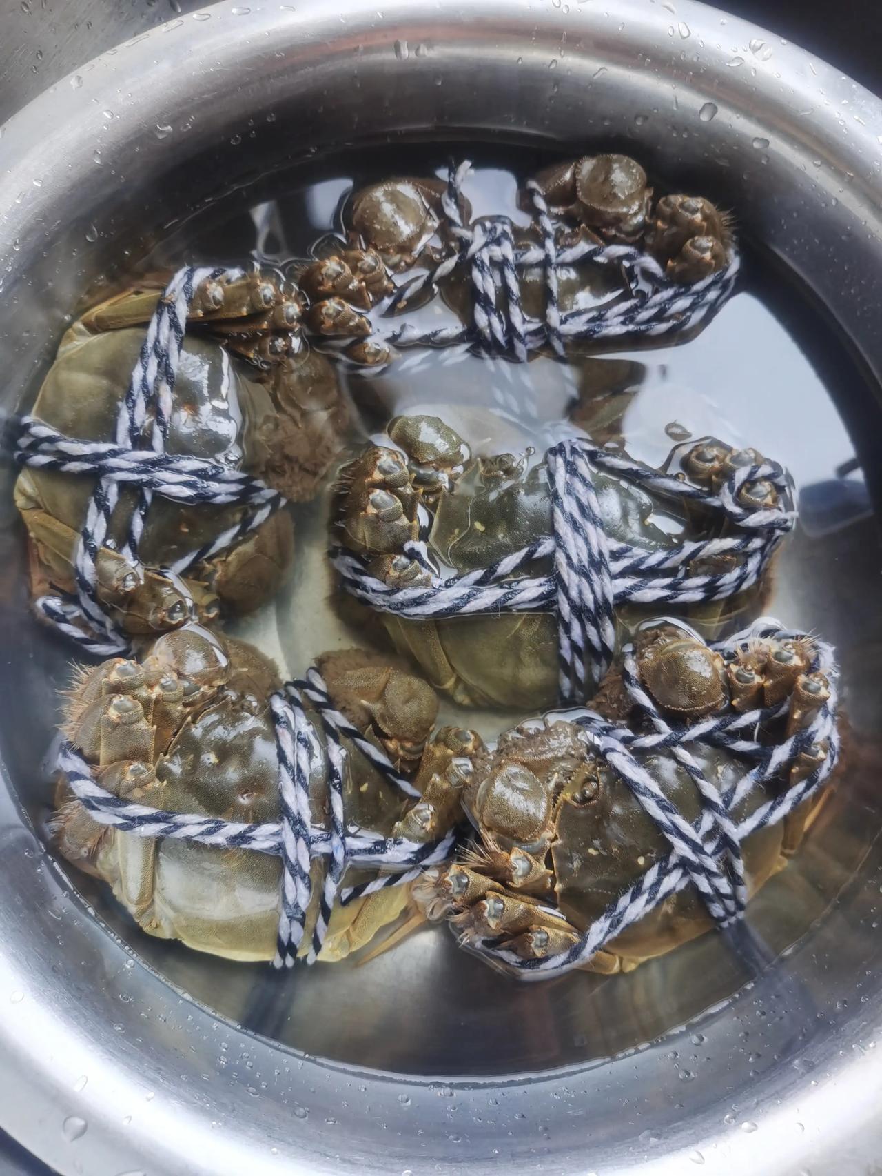 今年的螃蟹真心不贵，上午买了几个，最大的那个带绳子秤了一下快有六两半了，二大三小