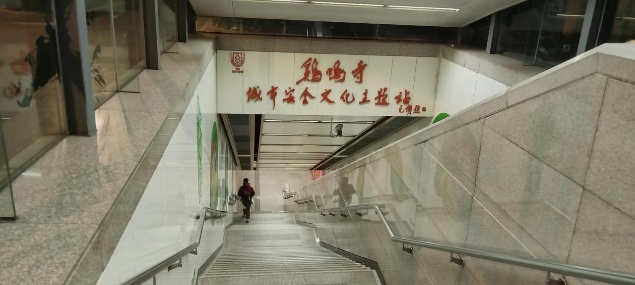 分享一张你最近随拍的照片