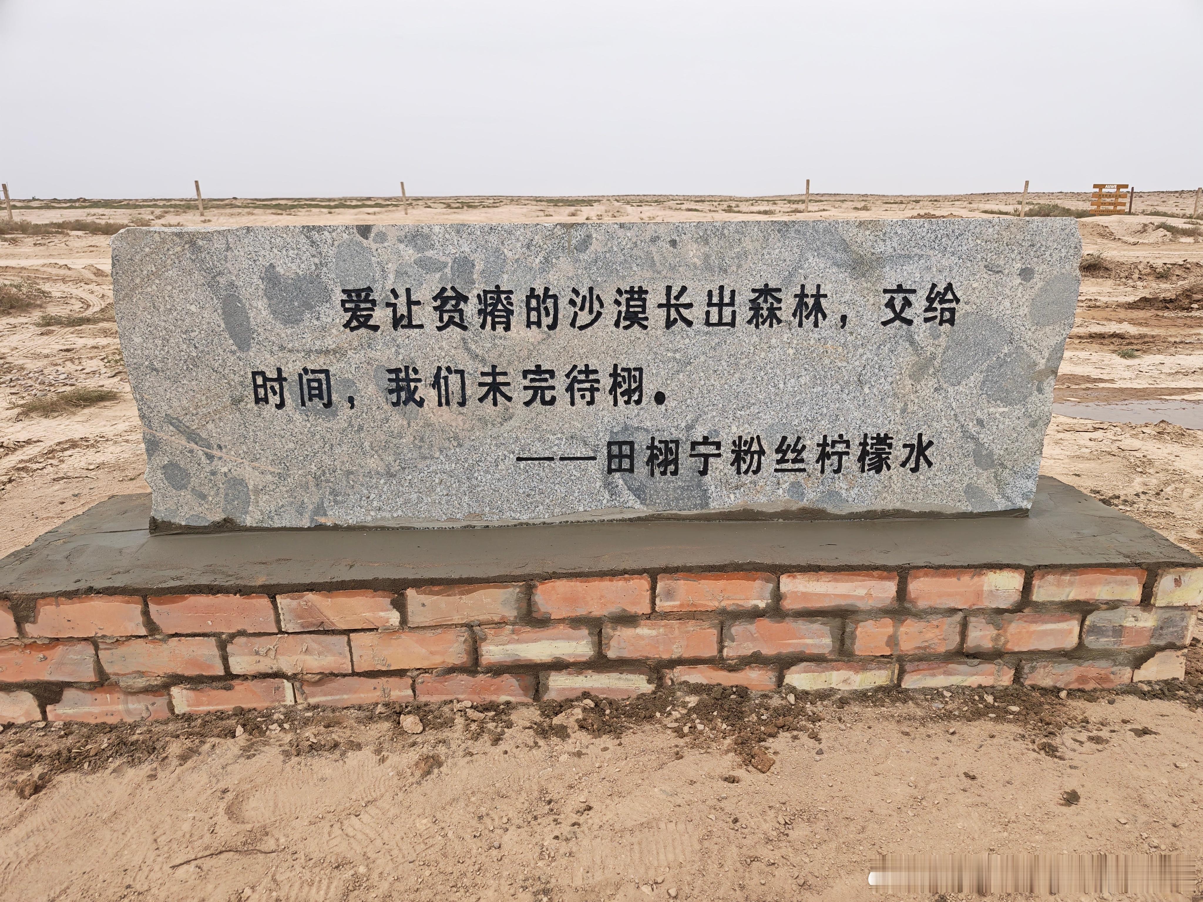 田栩宁粉丝好棒，在甘肃省武威市红沙岗镇种植科750亩的爱心树林，因为田栩宁是个很