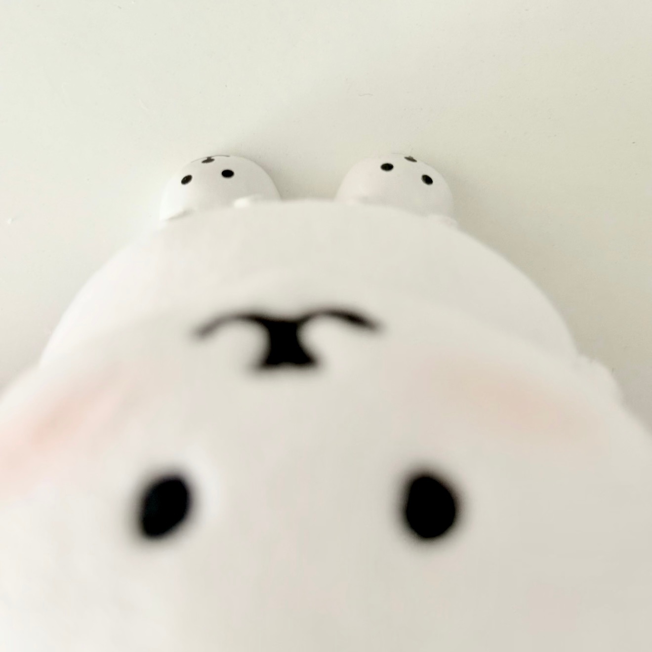 ˙₊Ი𐑼⋆ 