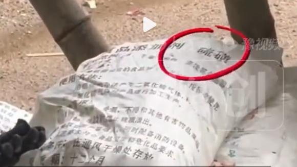 一车车鲜嫩的麻竹笋从英德运出，没有驶进证照齐全的食品加工厂，反而拐进清城、清新一