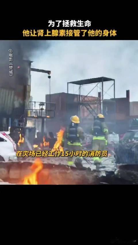 焚城就是个巨大的电车难题  以独特视角剖析困境，情感浓烈真实，好看到停不下来，速