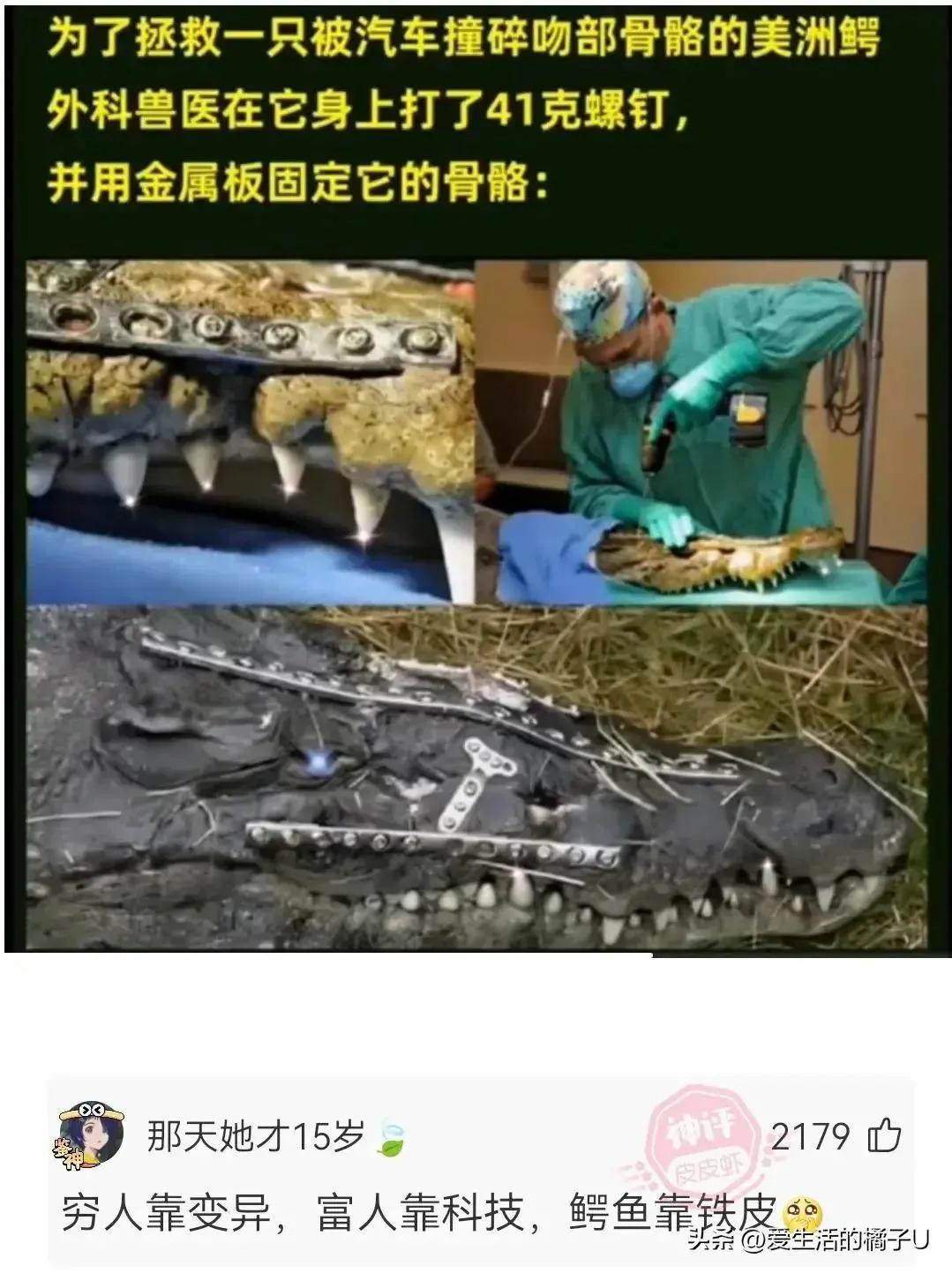 特技加身