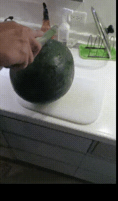 这瓜绝对不是来报恩的