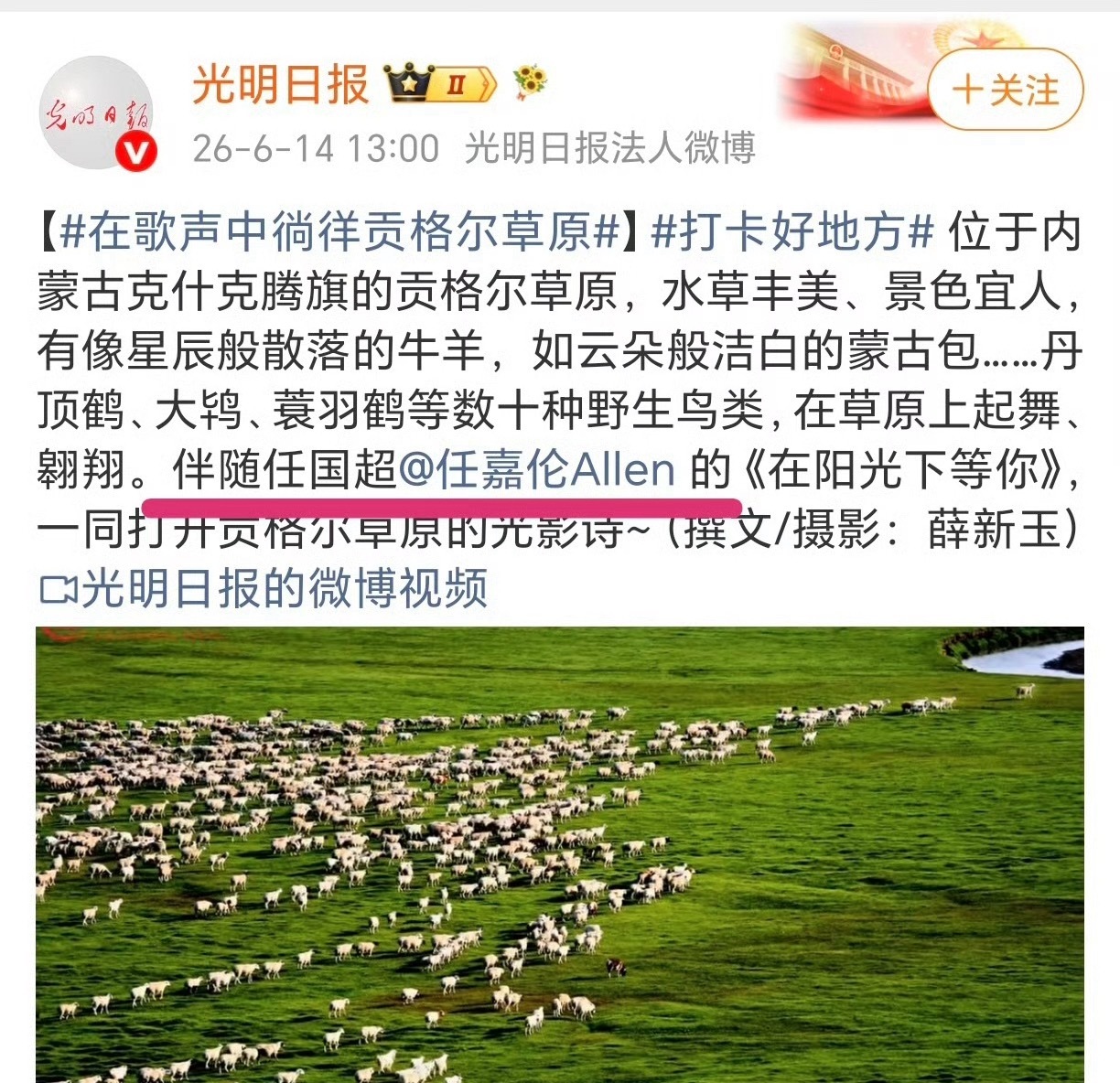 任国超正式出道了吗