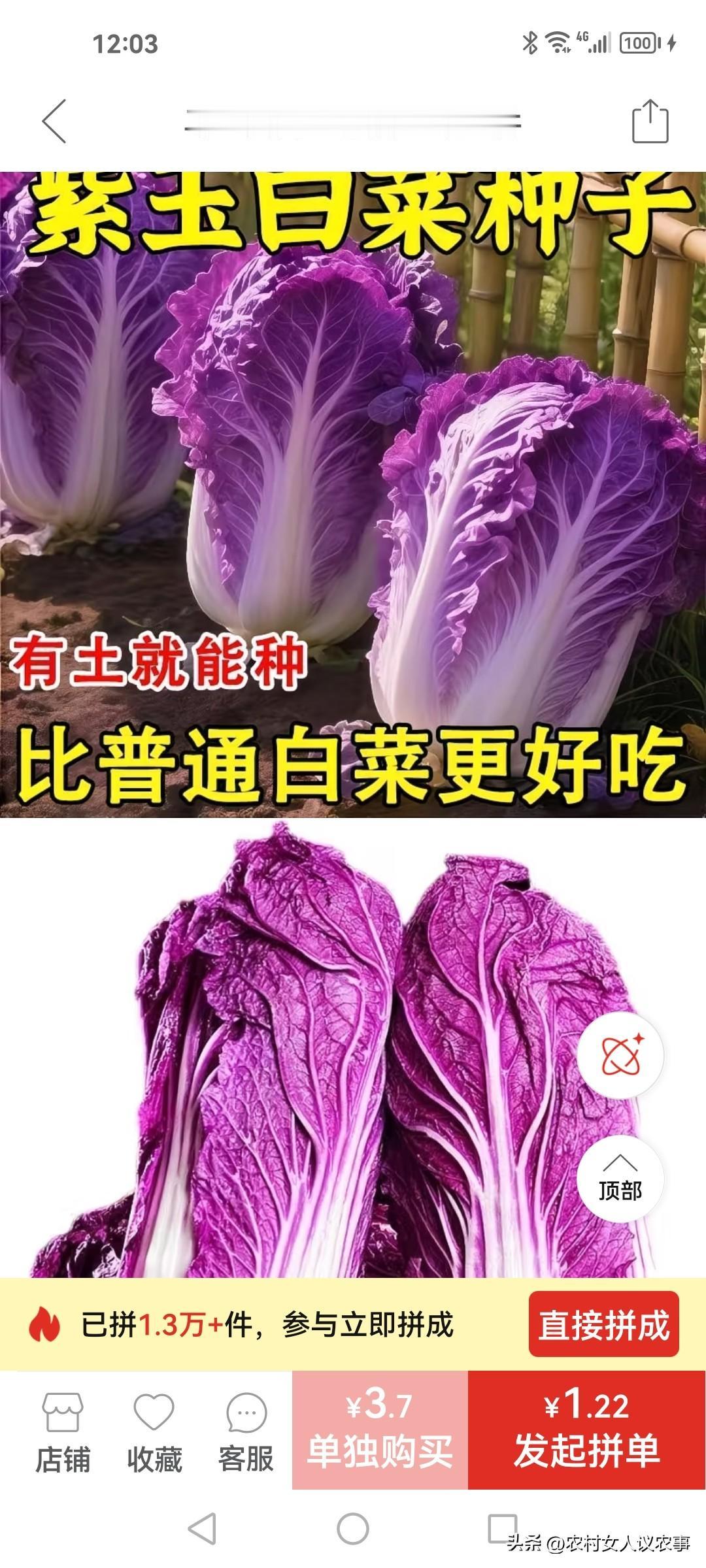 看到这紫白菜种子，我动心了，也马上下单买了一包。
可是，邻居告诉我，上当了，她说