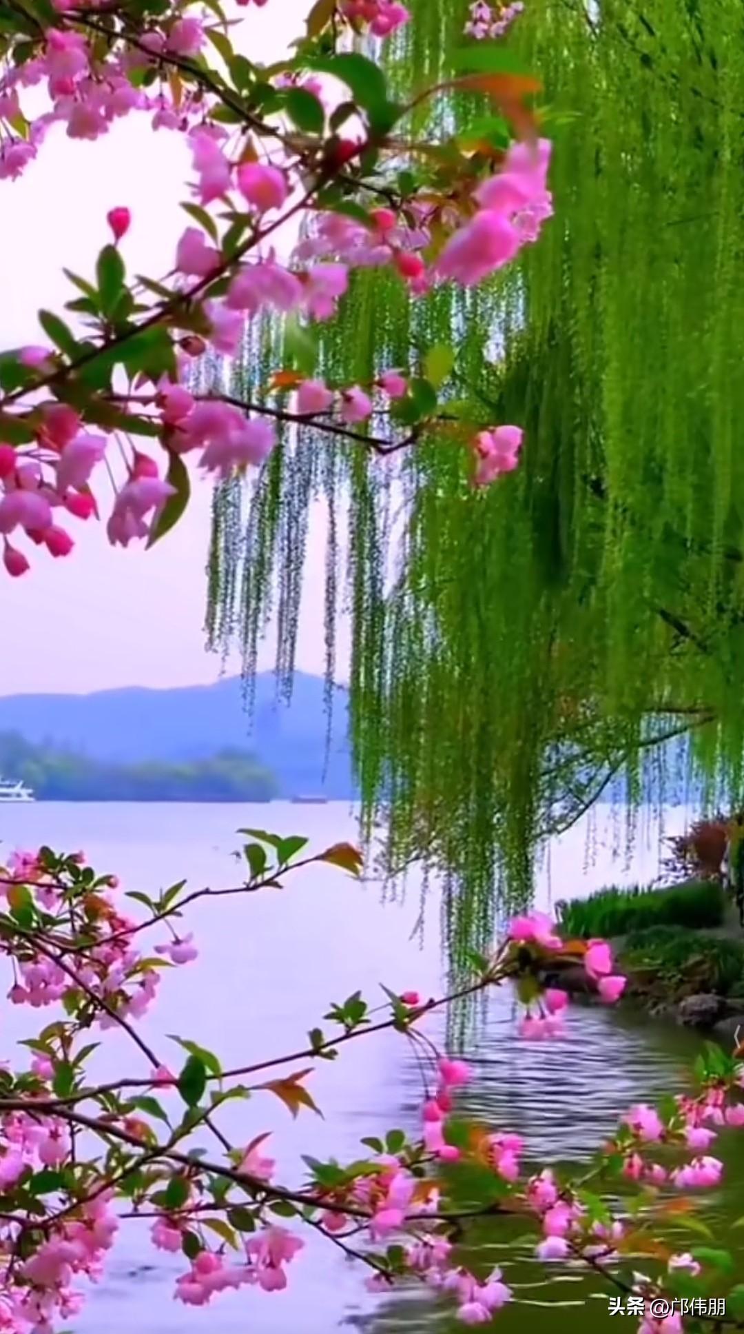七律·暮春闲酌
风熏芳岸柳丝长，
酒入闲襟趁晚光。
花影摇杯添潋滟，
莺声绕盏送