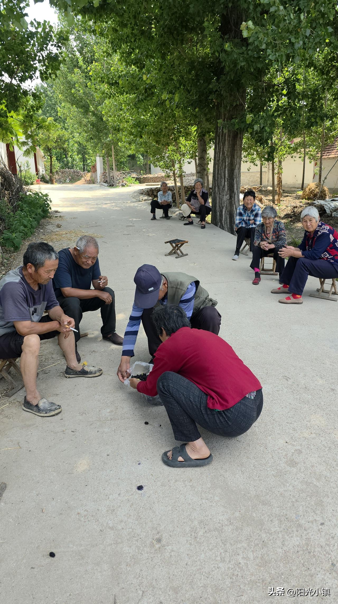 全村最好吃的桑葚，是这个婶子家的……

今天上午，十几个人吃了两袋桑葚。这个红衣