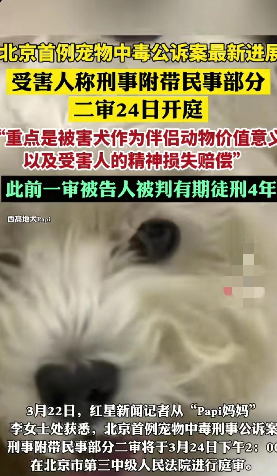 北京宠物中毒案二审即将开庭 受害者聚焦精神损失赔偿能否获支持。
备受公众关注的北