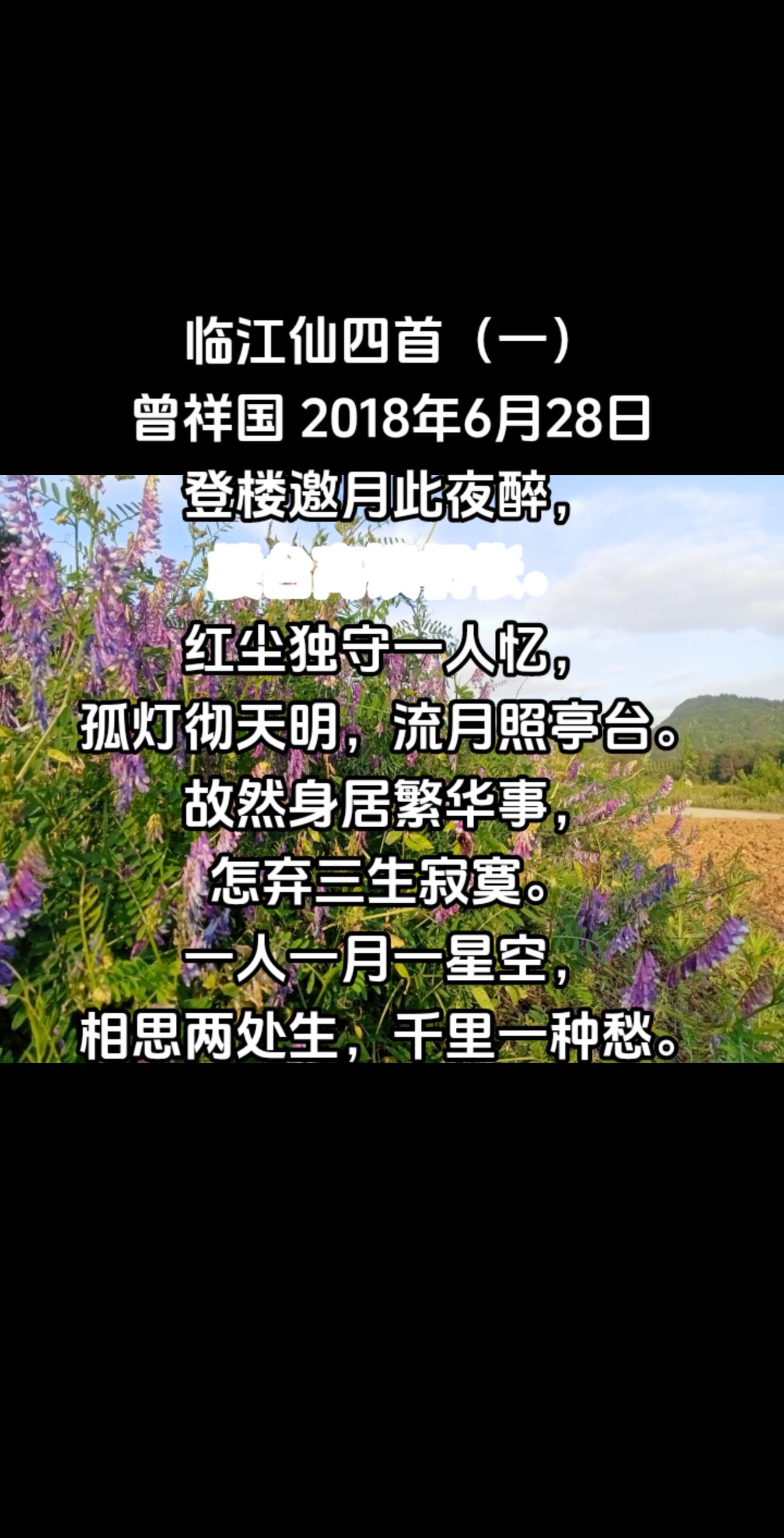 临江仙四首（一）#在这遇见紫色花海 #我在等风也在等你 #生活处处是风景 #这个