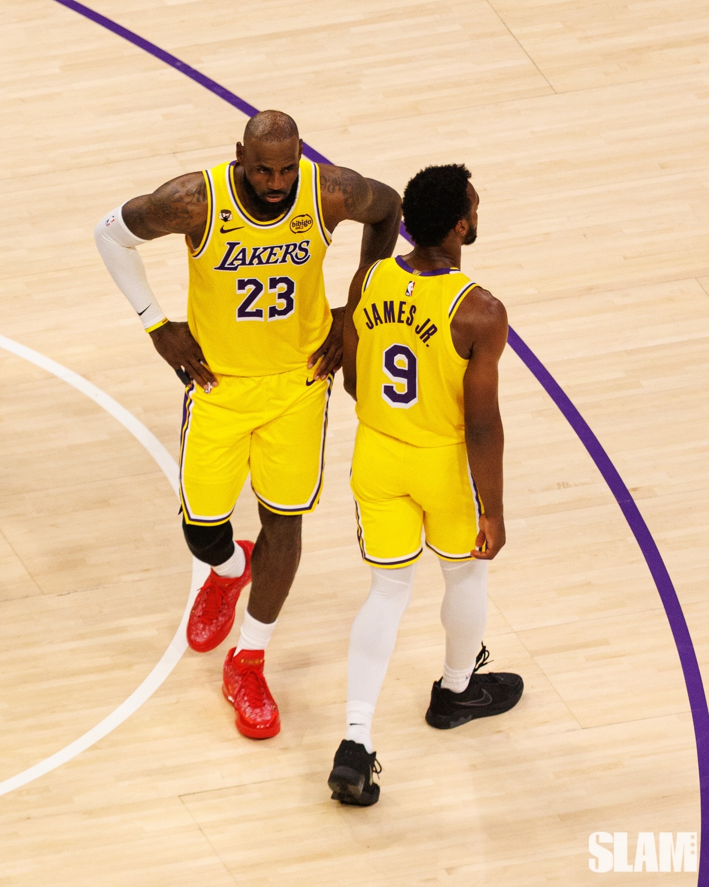 詹姆斯✖️布朗尼 