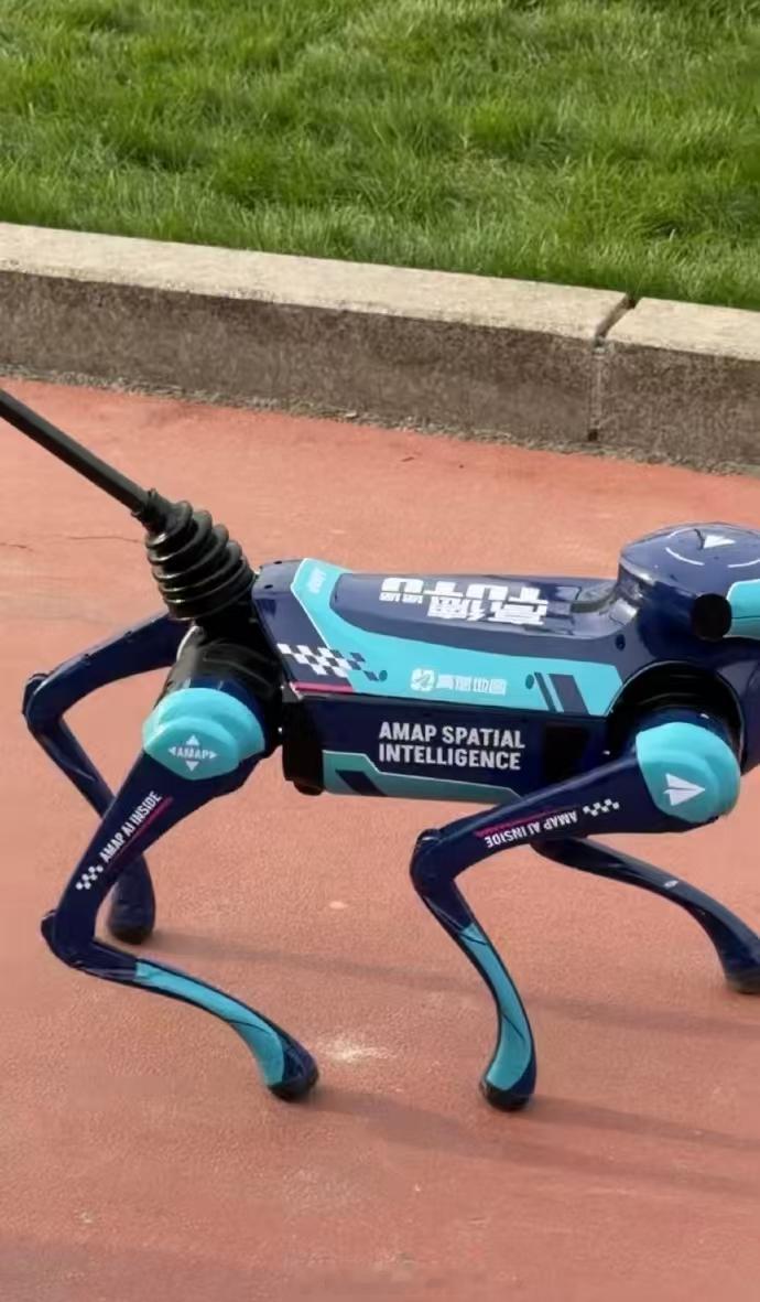 全球首个参加马拉松的机器导盲犬 导盲不需要竞速，要的是万无一失的安全感。这只“途