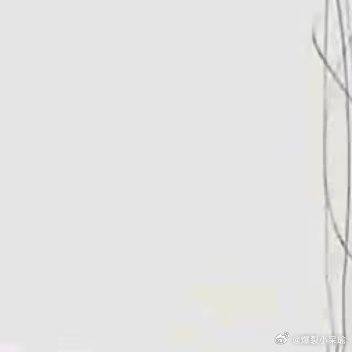 每日一善 善良的力量无需刻意追求，它如同种子，悄然生根，只要我们心中有爱，行动便